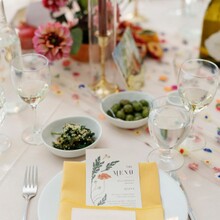 101 Poppy Solid Napkin on 256 Beige Solid Tablecloth