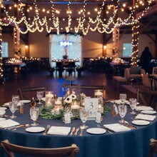 4 Navy Solid with 5 Ivory Solid Napkin