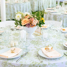 348 Sage Flores Print with 15 Peach Damask Napkin