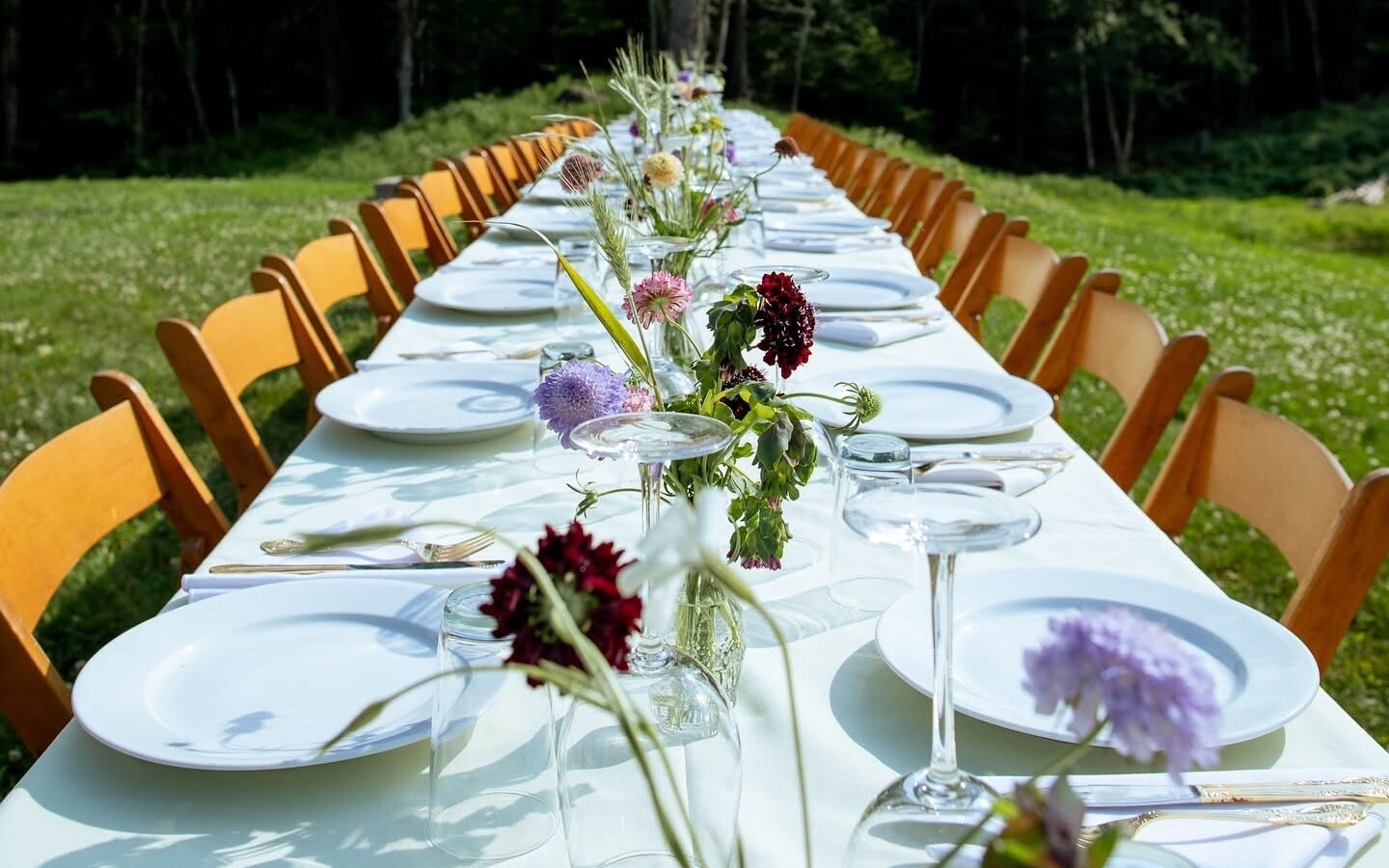 maize yellow at sunny Vermont Farm dinner