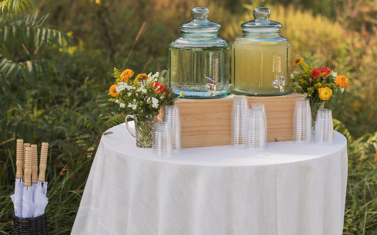 Vermont Lemonade station