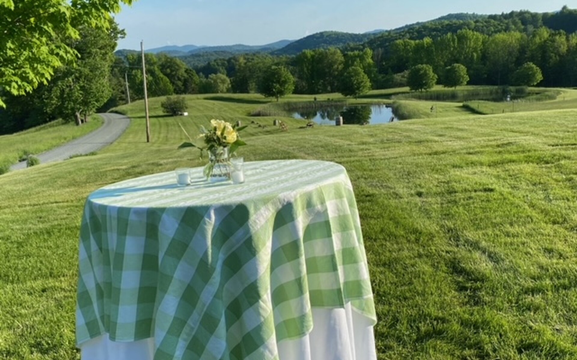 Green & White Plaid Damask Print