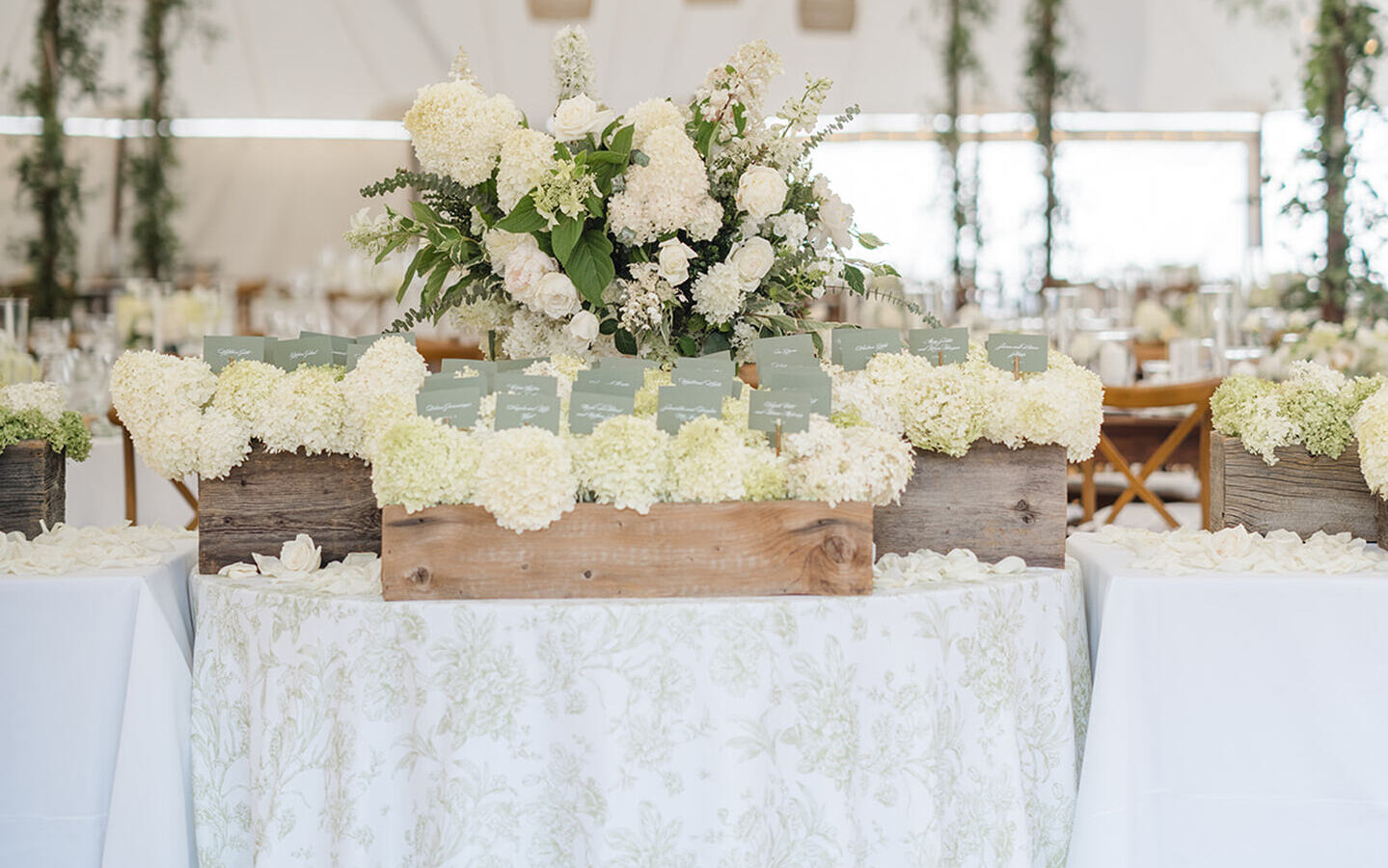 Sage Green Flores