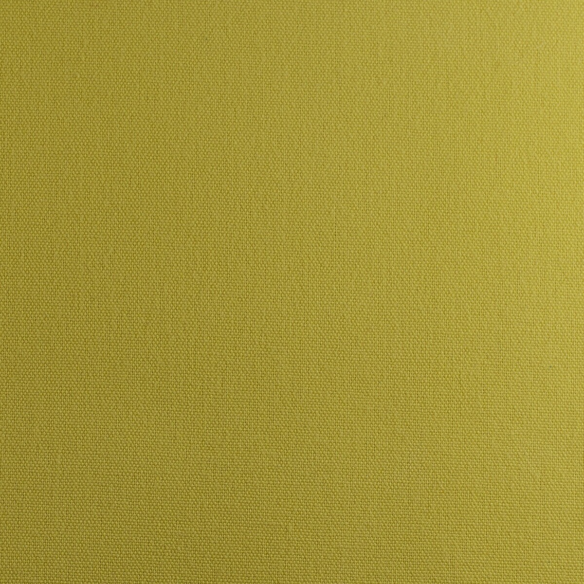 Lemon Yellow Solid