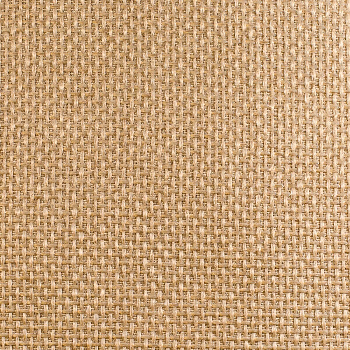 Champagne Infinity Faux Silk