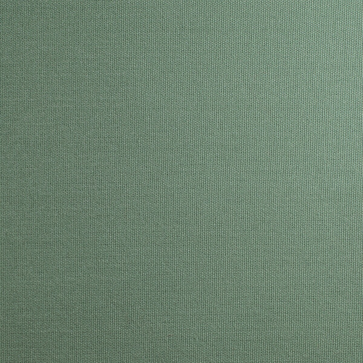 Green Pinstripe Print