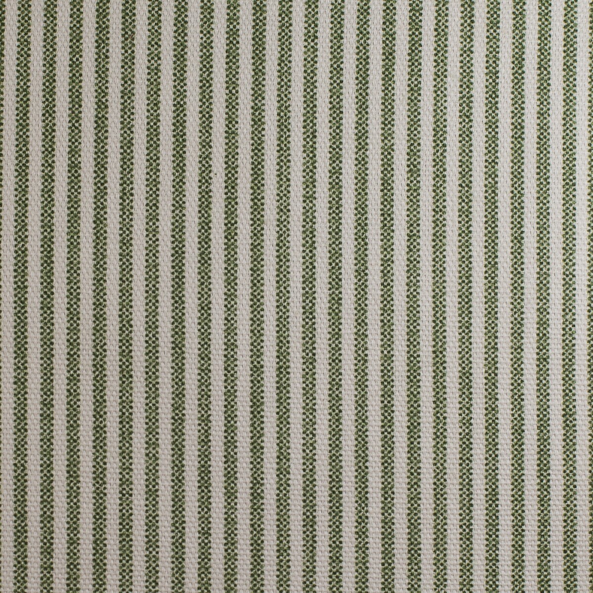 Green Pinstripe Print