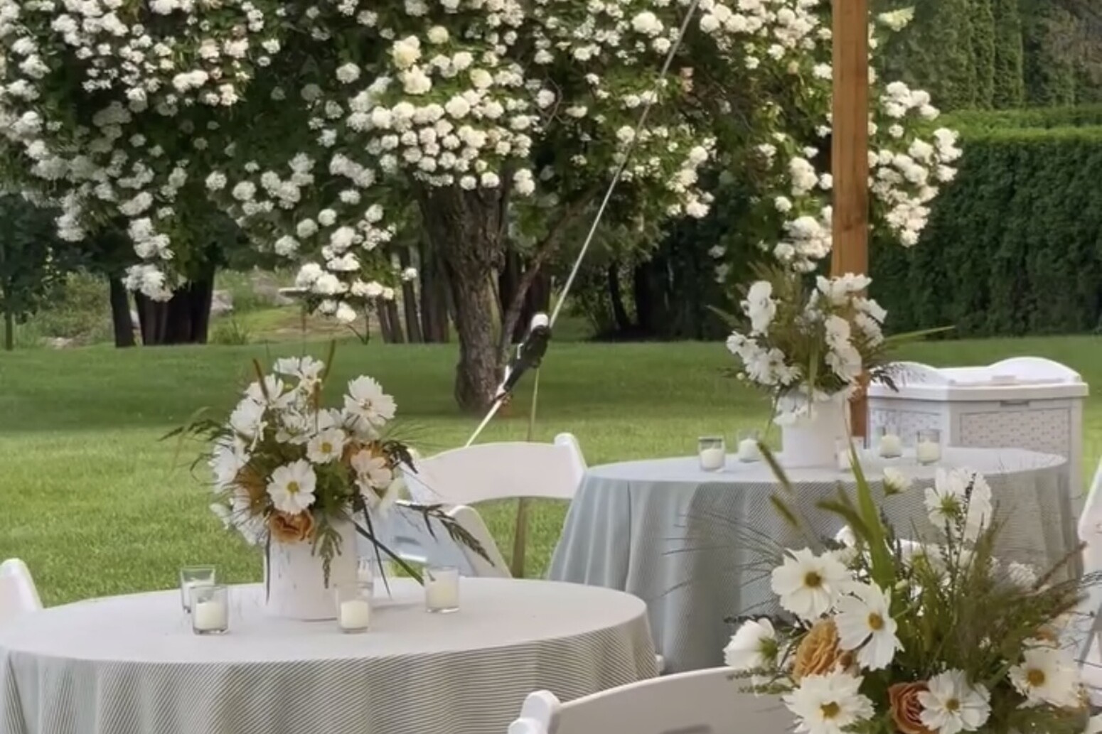 Linen Rental Selection